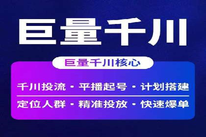 百度SEO推广公司案例分享：行业佼佼者经验